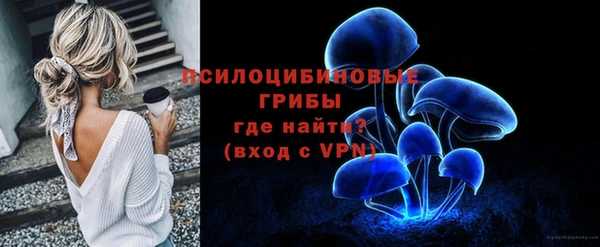 не бодяженный Дмитриев